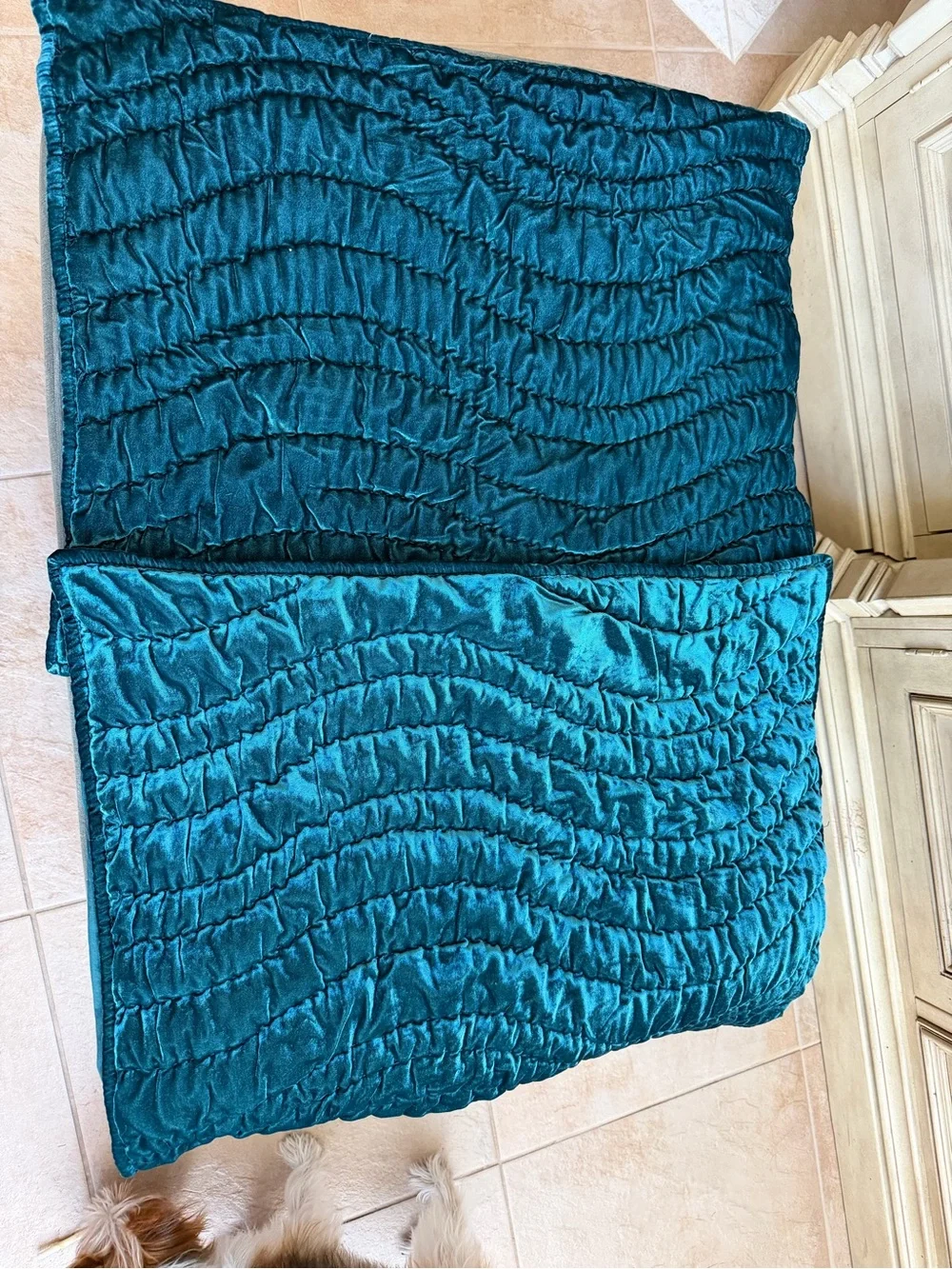 2 West Elm Turqouise Blue Velvet Shams 20”x26” NWOT